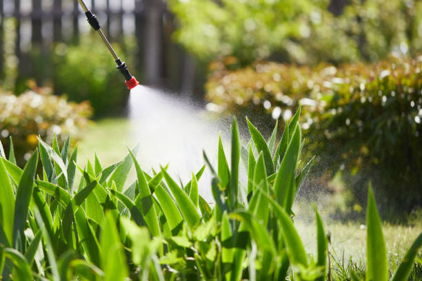 24/7 Emergency Ant Control experts in Palm Springs North, FL